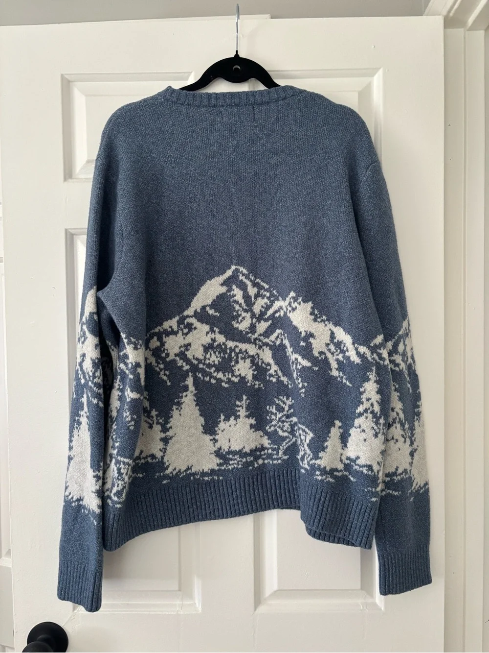Old Navy Men’s Blue and Cream Mountain Scene Crewneck Sweater